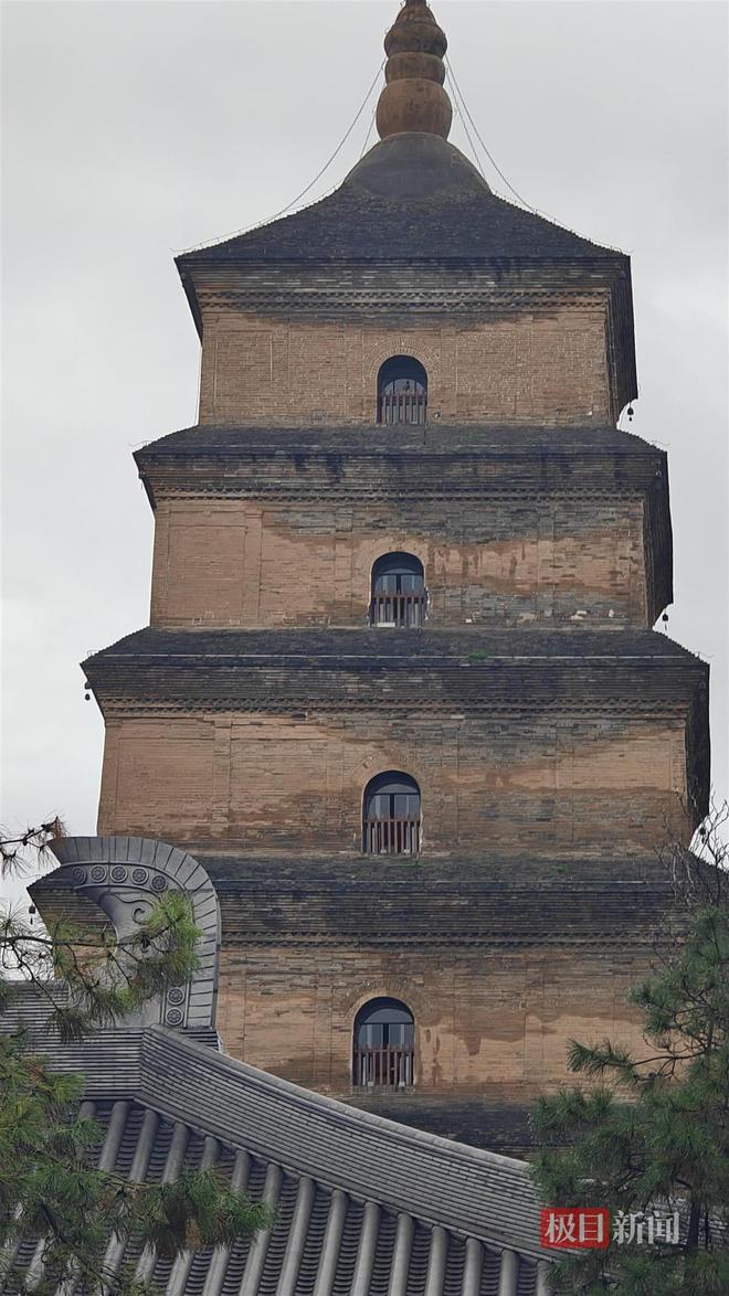 长蘑菇大雁塔受潮城墙布满青苔气象局解释成因PG麻将胡了试玩西安连续一个多月降雨遍地(图2)