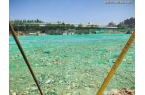 海上清和玺售楼处发布：海上清和玺㊣麻将胡